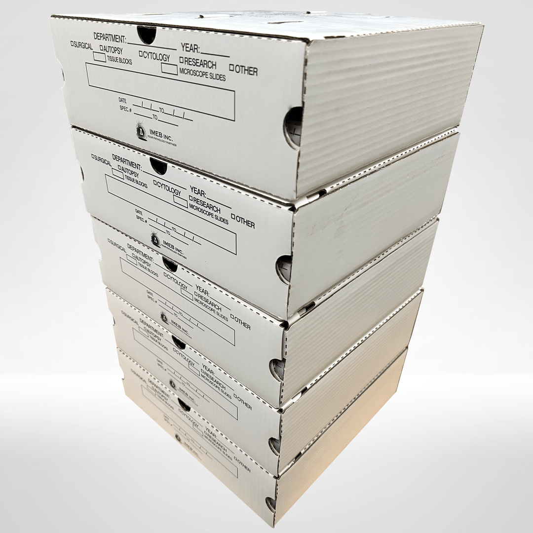 Web FS4 FC8 full stack of 5