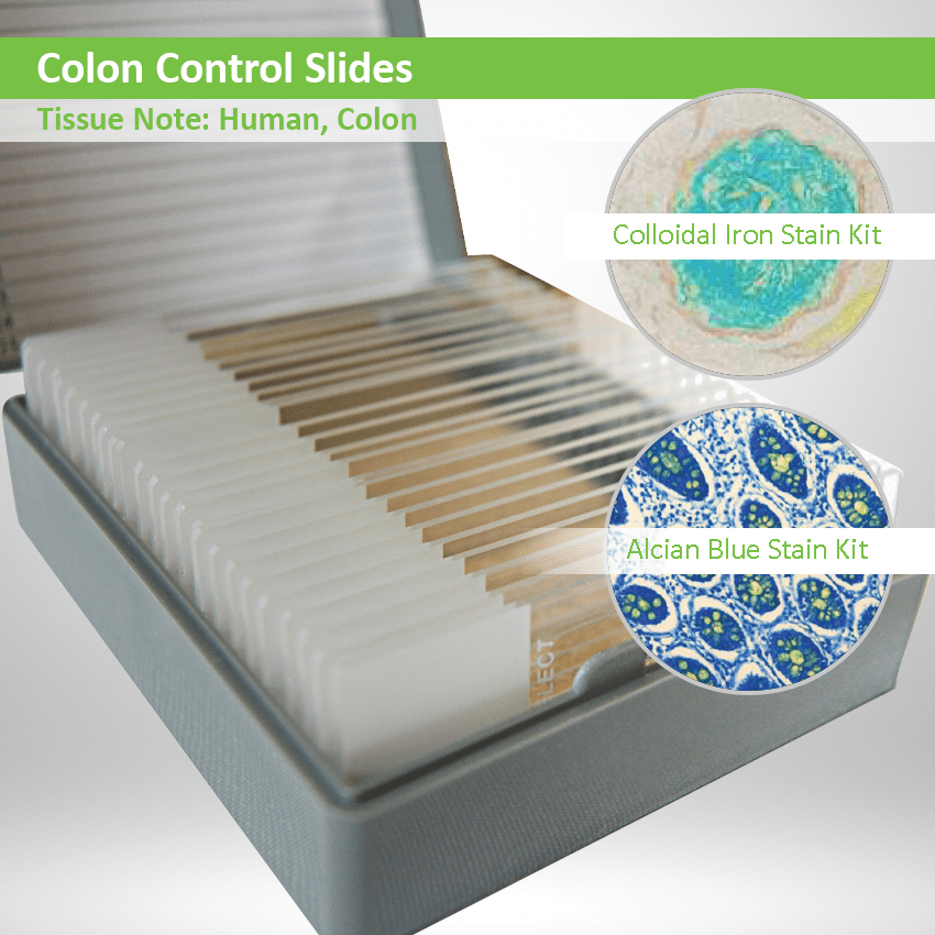 Colon Control Slides