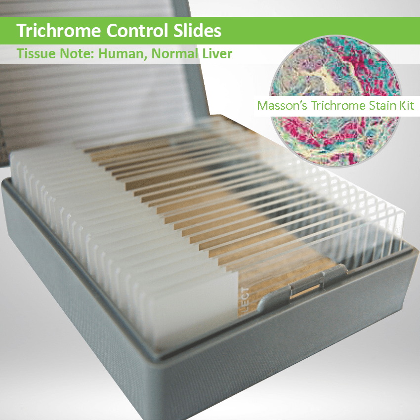 Trichrome Control Slide Set