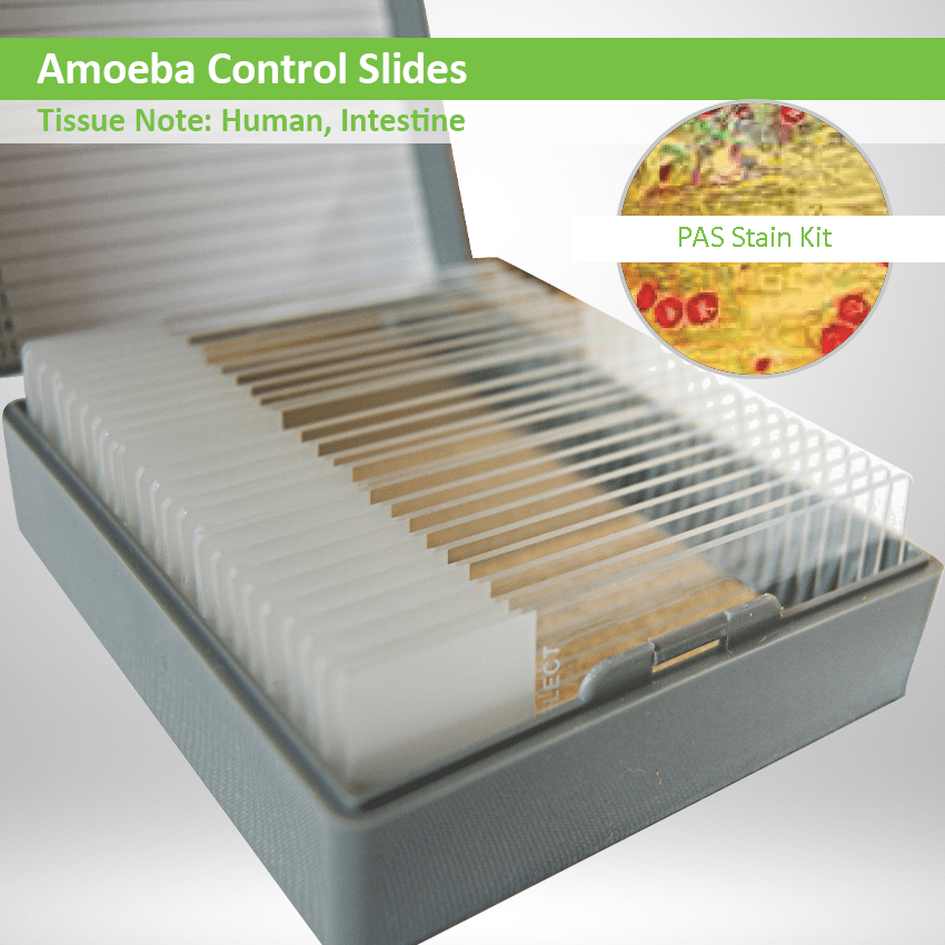 Amoeba Control Slides