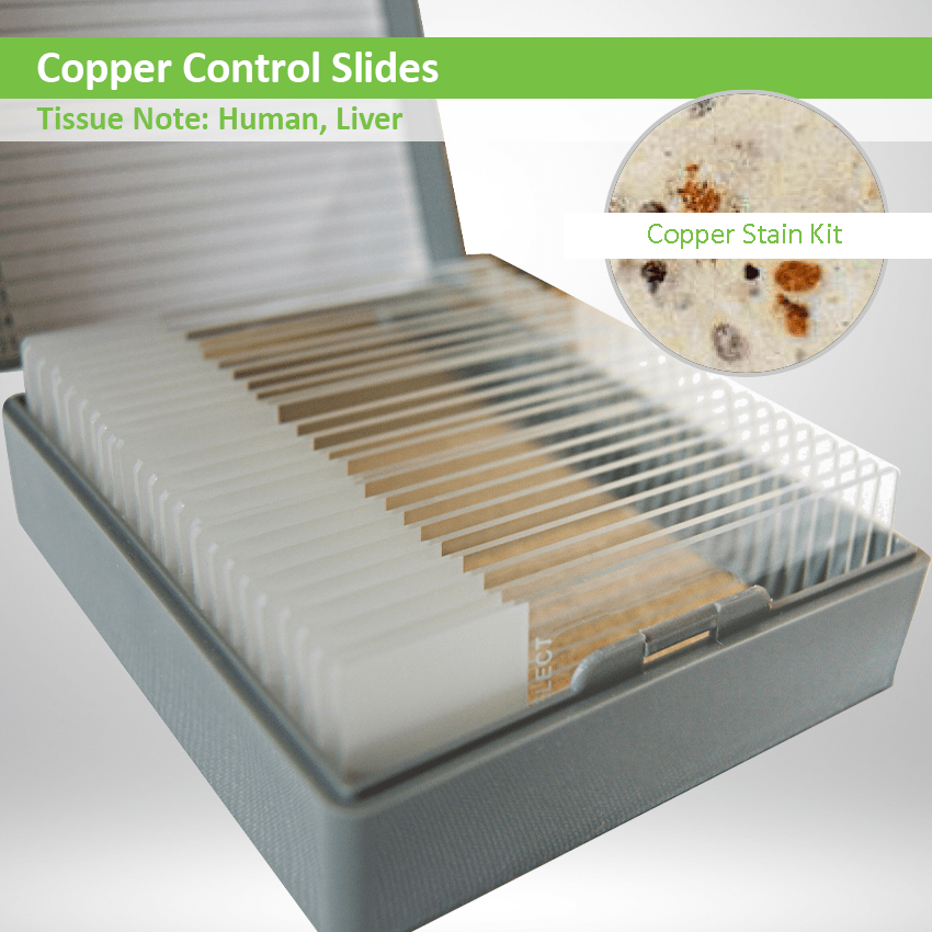 Copper Control Slides