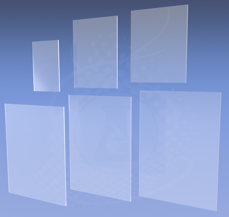 Neuropathology Slides Family
