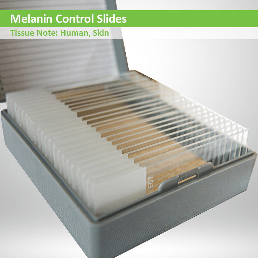 Melanin Control Slides